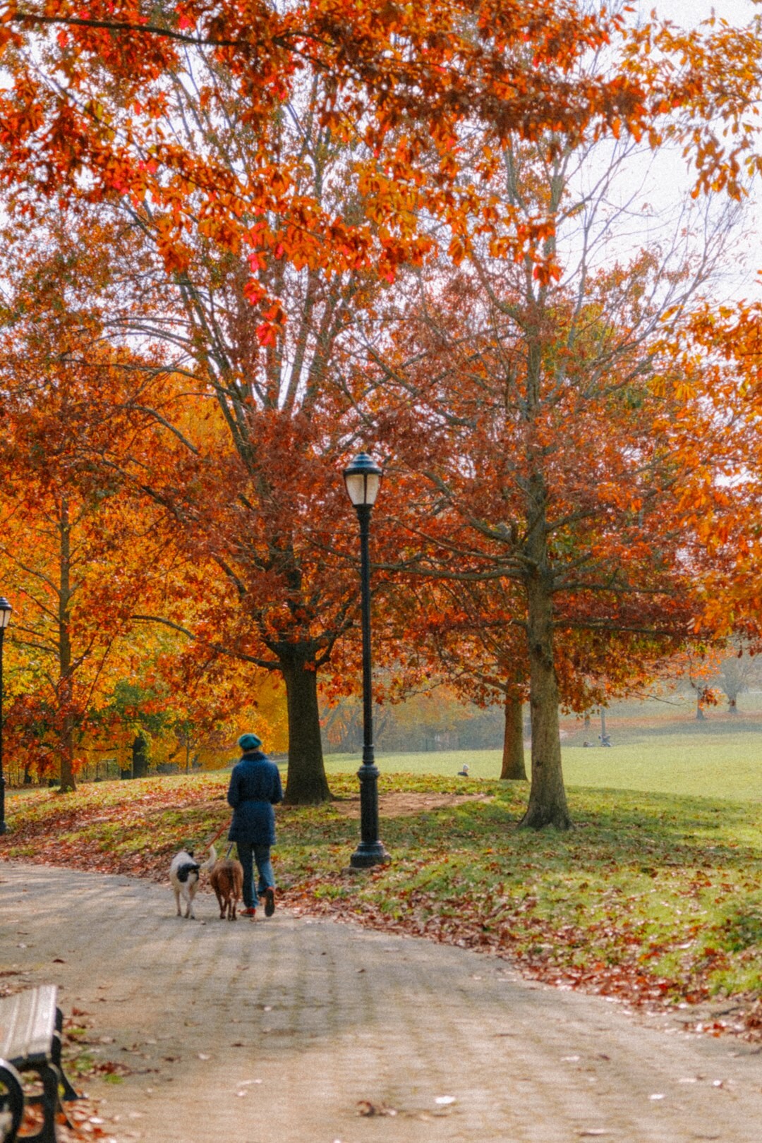 man with dog in park