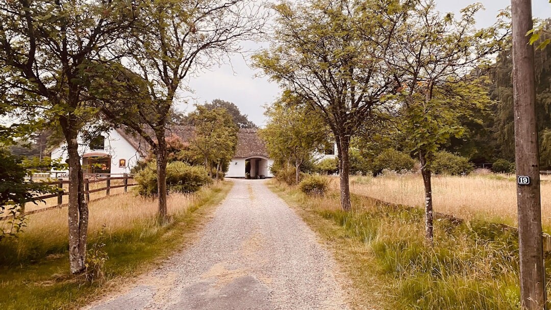 vintage danish farm
